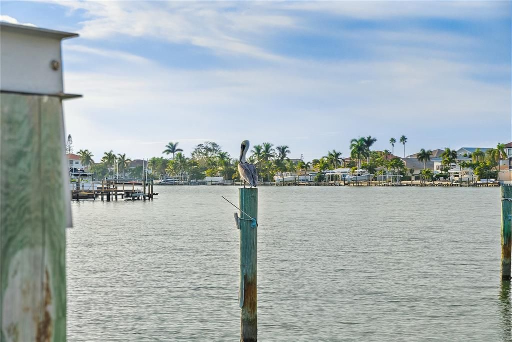 待售: $1,250,000 (4 贝兹, 3 浴室, 2554 平方英尺)