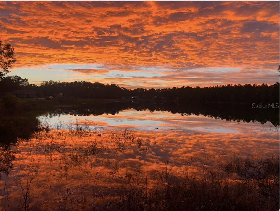 En Venta: $795,000 (3 camas, 2 baños, 2332 Pies cuadrados)