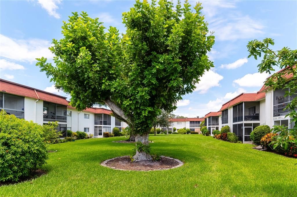 En Venta: $195,000 (2 camas, 2 baños, 977 Pies cuadrados)