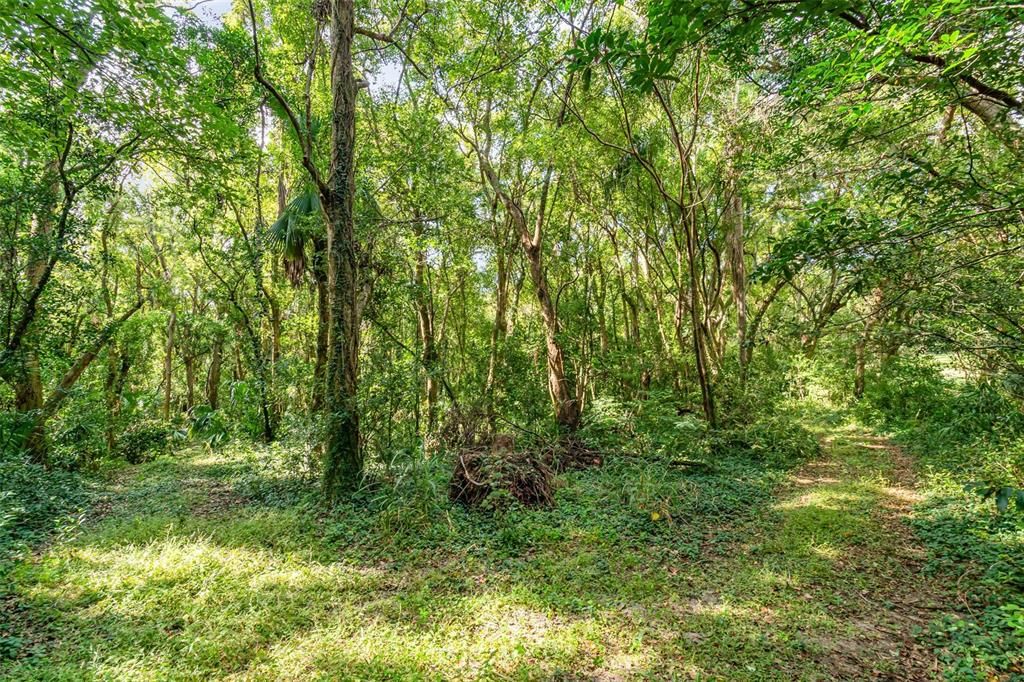 For Sale: $1,400,000 (3 beds, 2 baths, 1900 Square Feet)