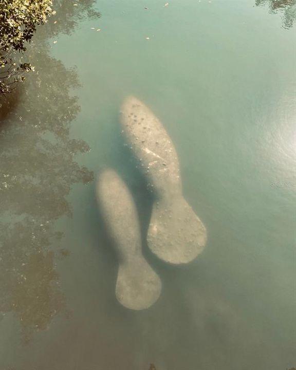 For Sale: $620,000 (2 beds, 2 baths, 1303 Square Feet)