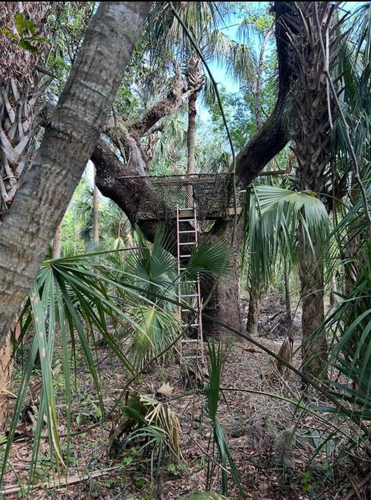 En Venta: $155,000 (6.20 acres)