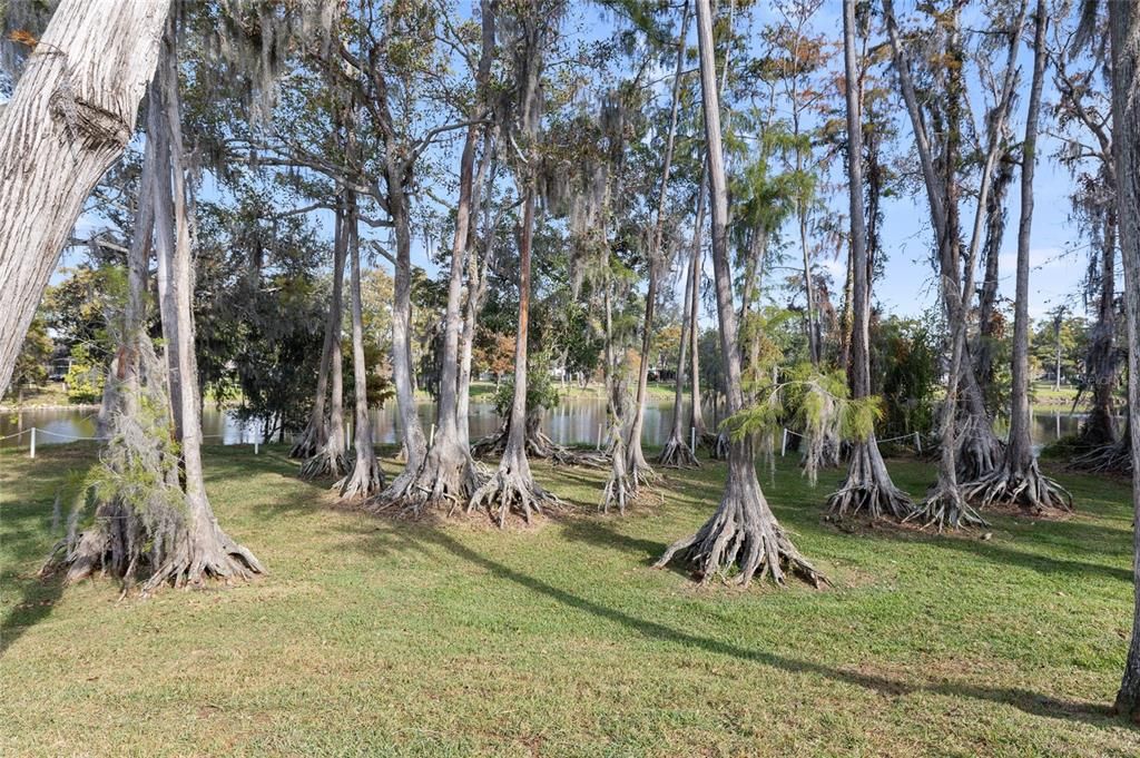 合同活跃: $267,500 (2 贝兹, 2 浴室, 960 平方英尺)