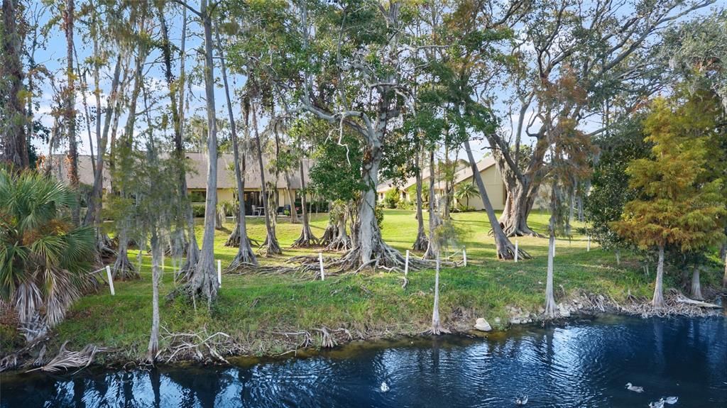 合同活跃: $267,500 (2 贝兹, 2 浴室, 960 平方英尺)