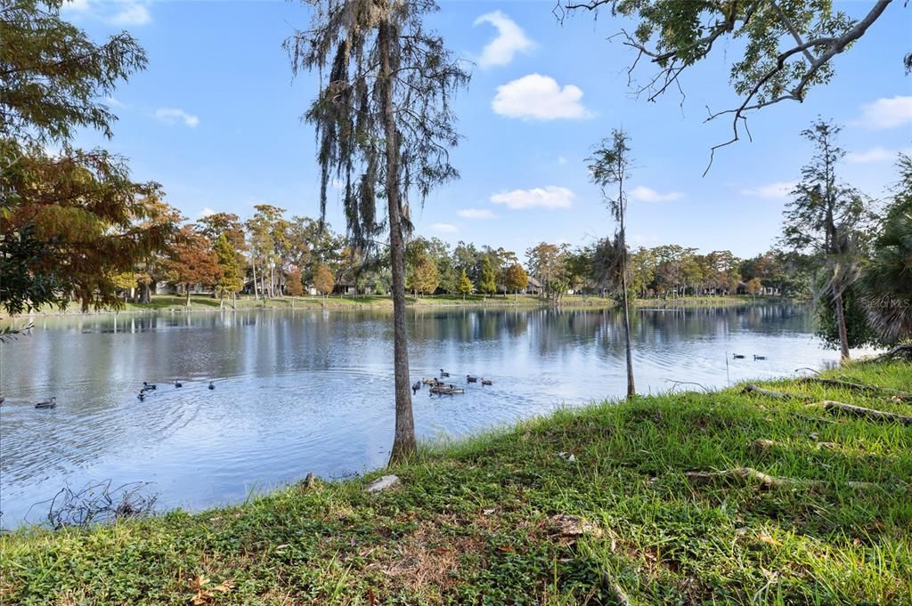 合同活跃: $267,500 (2 贝兹, 2 浴室, 960 平方英尺)