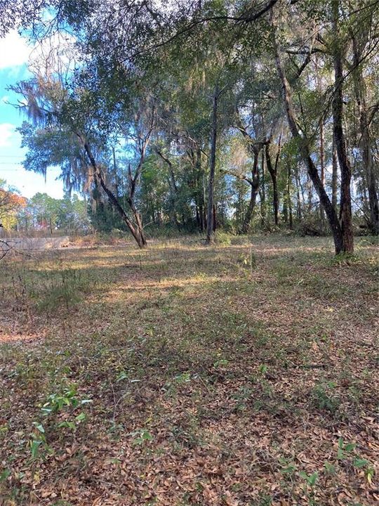 待售: $15,000 (0.22 acres)