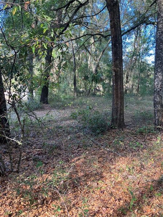 待售: $15,000 (0.22 acres)