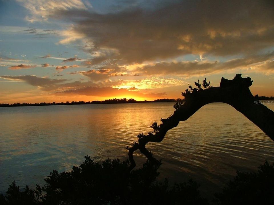 En Venta: $1,085,000 (3 camas, 2 baños, 1338 Pies cuadrados)