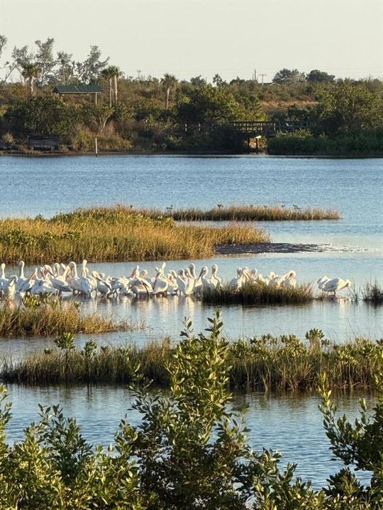 For Sale: $650,000 (4 beds, 2 baths, 2026 Square Feet)