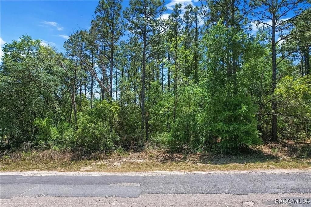 待售: $59,000 (0.33 acres)