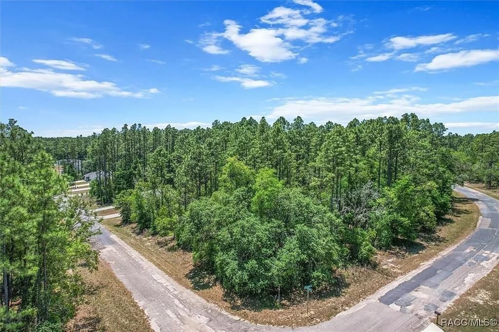 待售: $59,000 (0.33 acres)