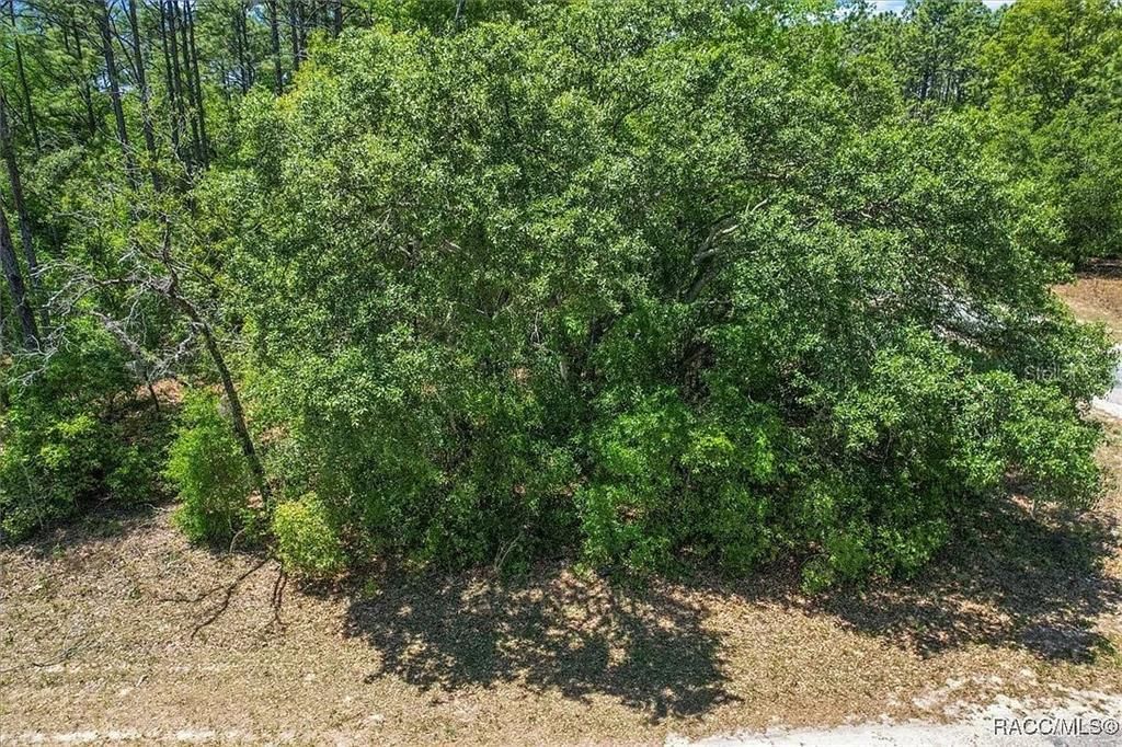 待售: $59,000 (0.33 acres)