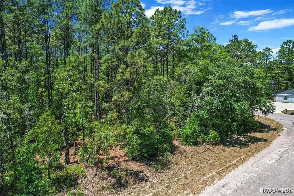 待售: $59,000 (0.33 acres)