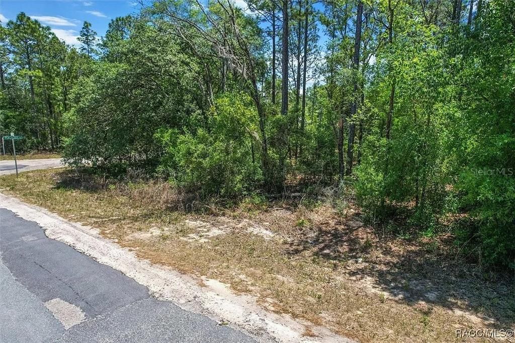 待售: $59,000 (0.33 acres)