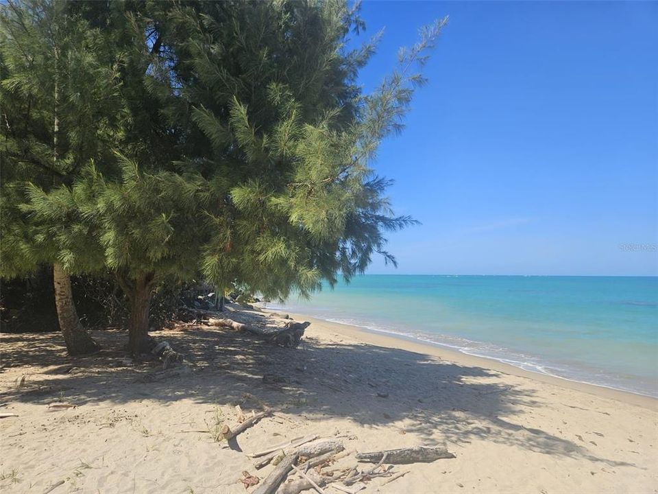 For Sale: $325,000 (3 beds, 2 baths, 1168 Square Feet)