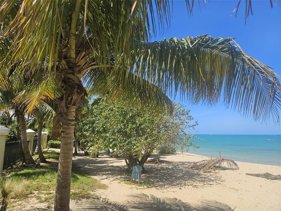 For Sale: $325,000 (3 beds, 2 baths, 1168 Square Feet)