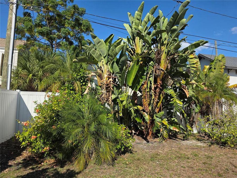 出租: $2,750 (2 贝兹, 1 浴室, 1068 平方英尺)