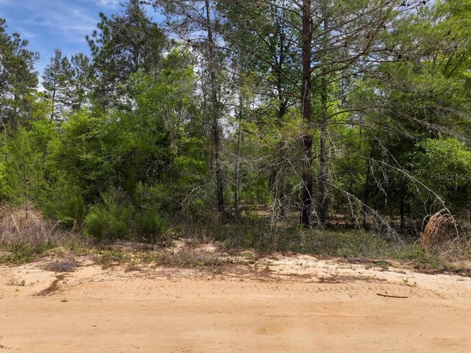 待售: $8,900 (0.23 acres)