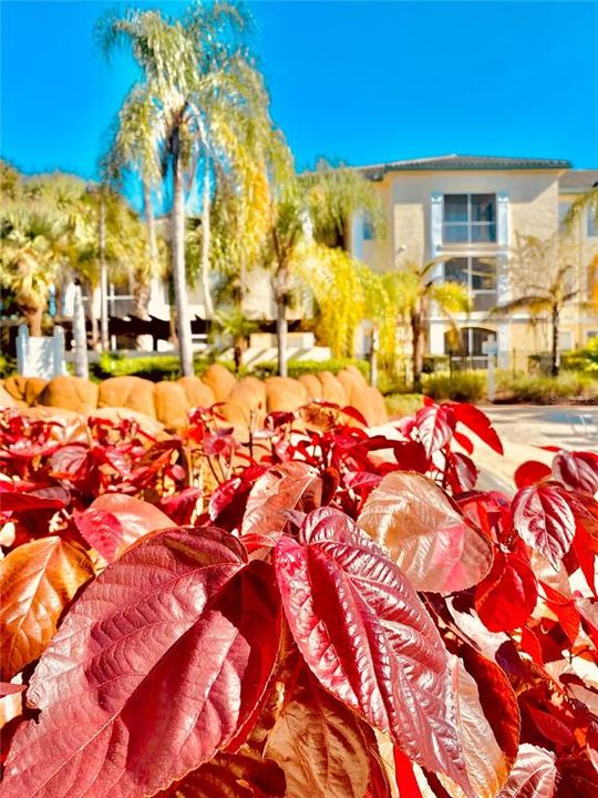 待售: $220,000 (2 贝兹, 2 浴室, 1048 平方英尺)