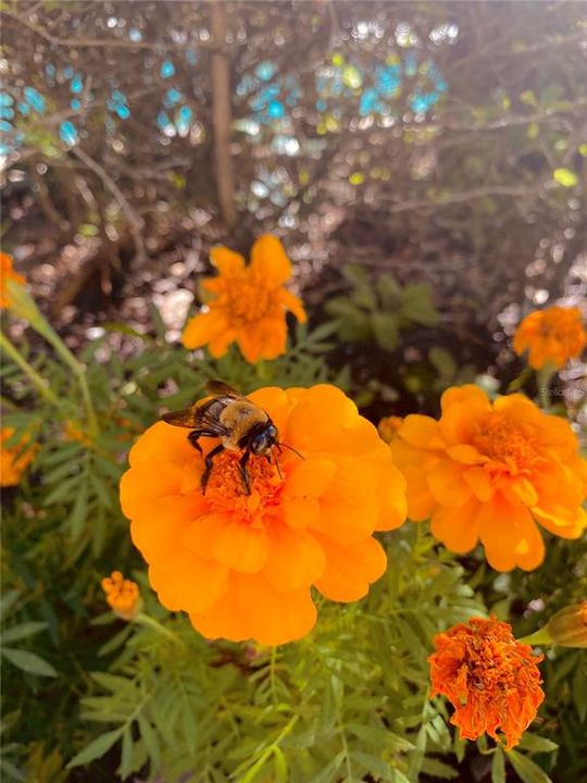 待售: $220,000 (2 贝兹, 2 浴室, 1048 平方英尺)