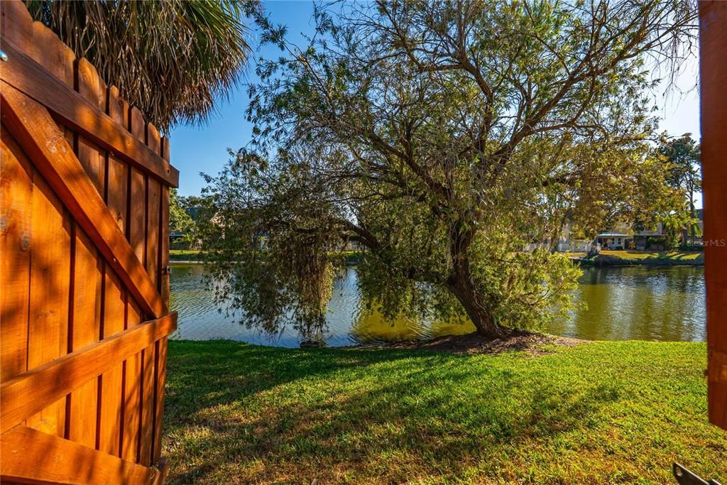 En Venta: $465,000 (3 camas, 2 baños, 1380 Pies cuadrados)