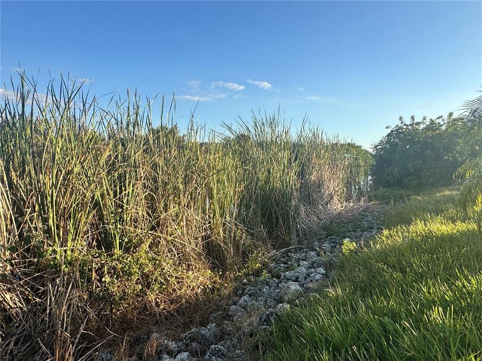 待售: $119,900 (0.23 acres)