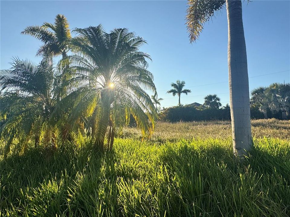 待售: $119,900 (0.23 acres)