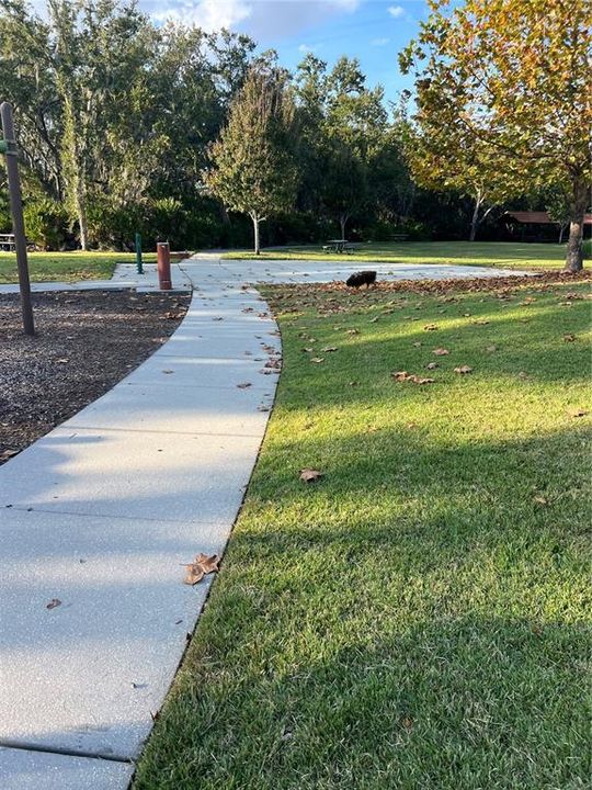 For Sale: $310,000 (3 beds, 2 baths, 1672 Square Feet)