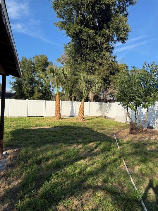 В аренду: $2,000 (3 спален, 2 ванн, 1000 Квадратных фут)