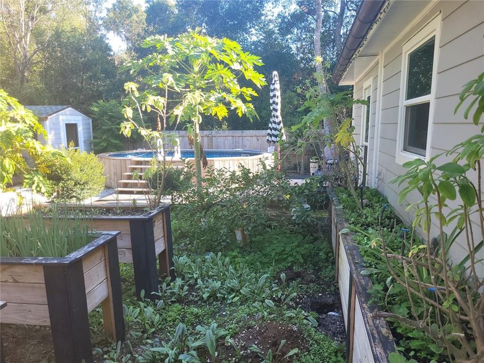 待售: $225,000 (2 贝兹, 1 浴室, 725 平方英尺)