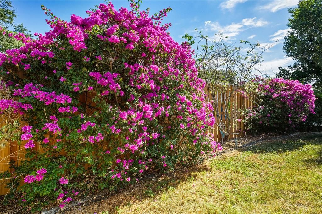 For Sale: $510,000 (4 beds, 2 baths, 1662 Square Feet)