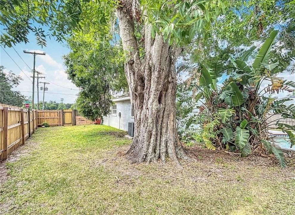 For Rent: $2,300 (3 beds, 2 baths, 1464 Square Feet)