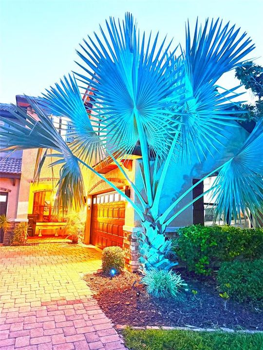 待售: $785,000 (5 贝兹, 5 浴室, 3452 平方英尺)