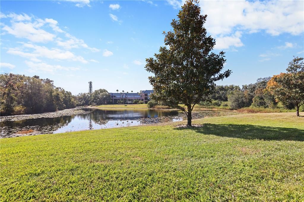 En Renta: $1,700 (2 camas, 2 baños, 1185 Pies cuadrados)