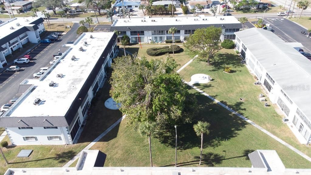 Под контрактом: $80,000 (1 спален, 1 ванн, 725 Квадратных фут)