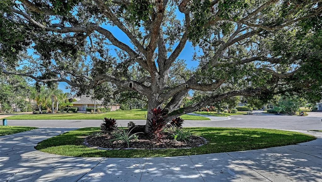 For Sale: $849,000 (4 beds, 3 baths, 3214 Square Feet)