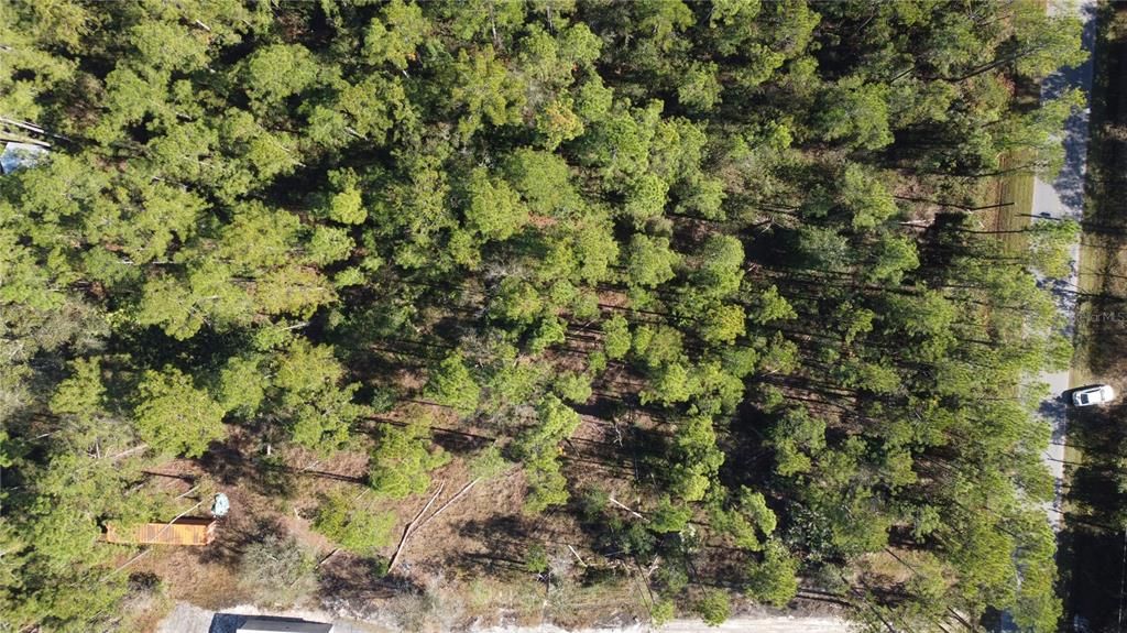 For Sale: $55,000 (1.40 acres)