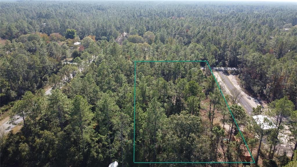 For Sale: $55,000 (1.40 acres)