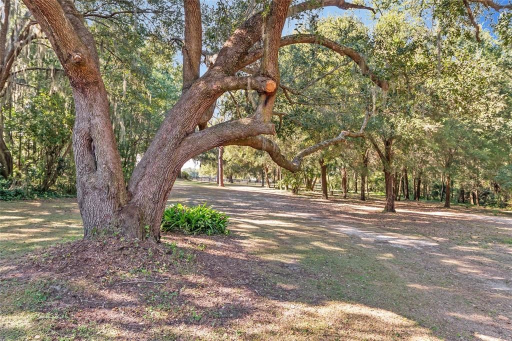 En Venta: $549,900 (3 camas, 2 baños, 1327 Pies cuadrados)