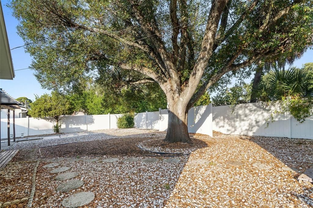 For Sale: $385,000 (3 beds, 1 baths, 1448 Square Feet)