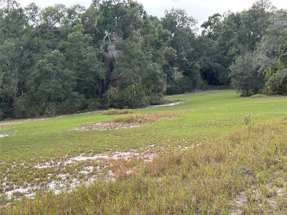 待售: $5,779,900 (20.10 acres)