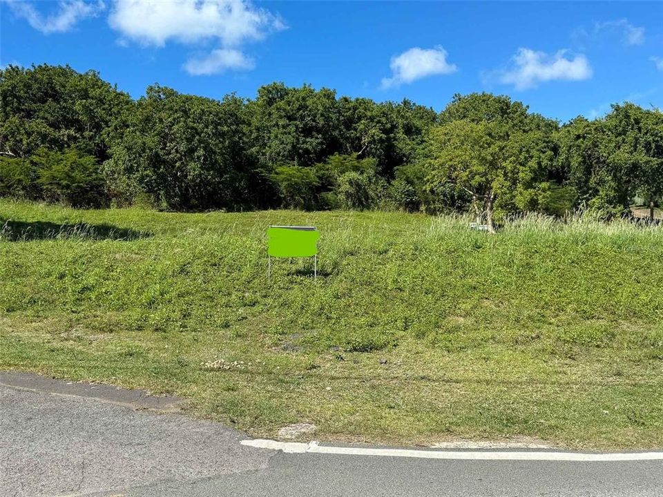 For Sale: $229,000 (0.35 acres)