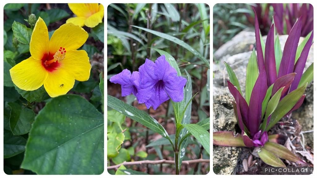 For Sale: $1,299,000 (3 beds, 3 baths, 3112 Square Feet)