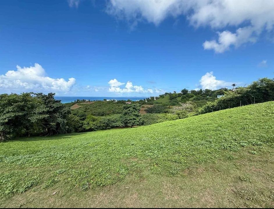 For Sale: $120,000 (1.34 acres)