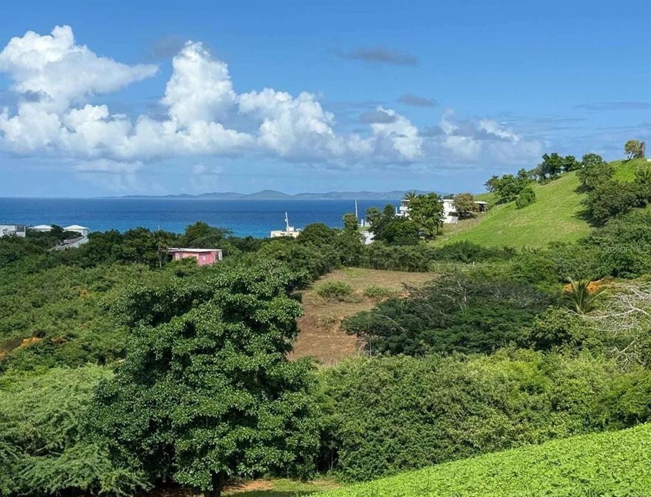 For Sale: $120,000 (1.34 acres)