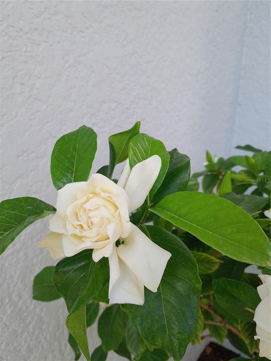 Active With Contract: $399,999 (2 beds, 2 baths, 1726 Square Feet)