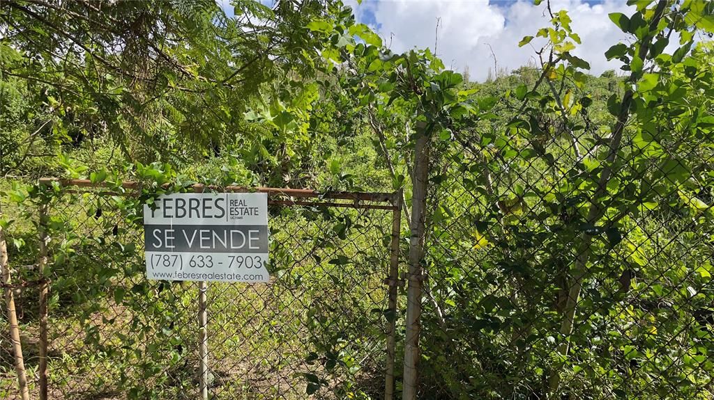 待售: $85,000 (1.97 acres)