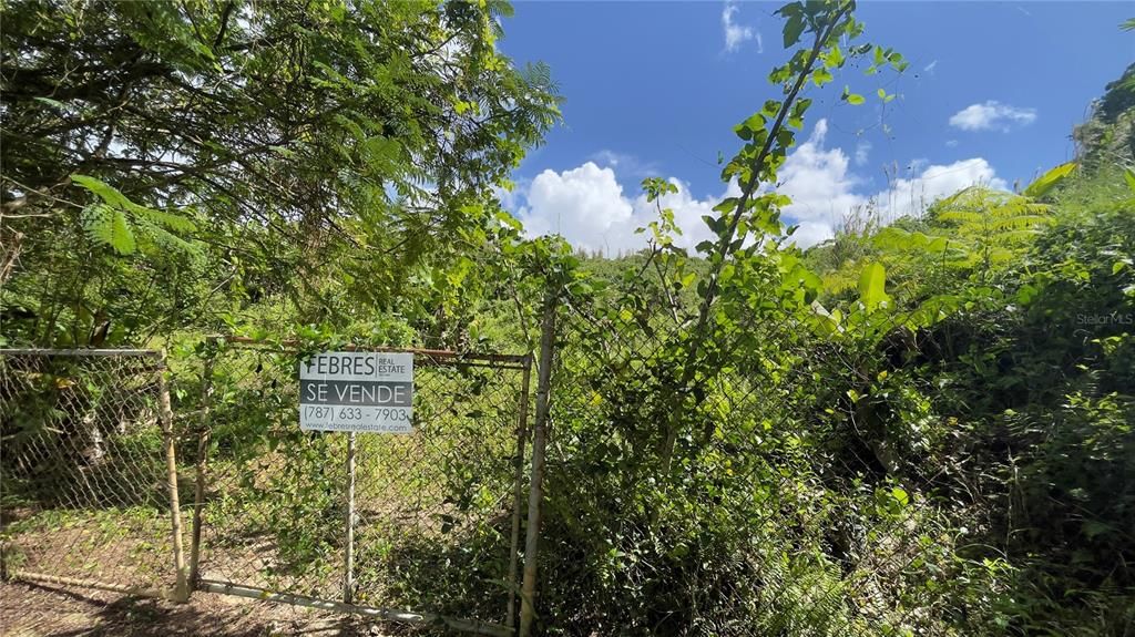 待售: $85,000 (1.97 acres)