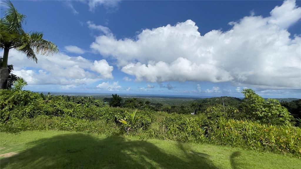 待售: $85,000 (1.97 acres)