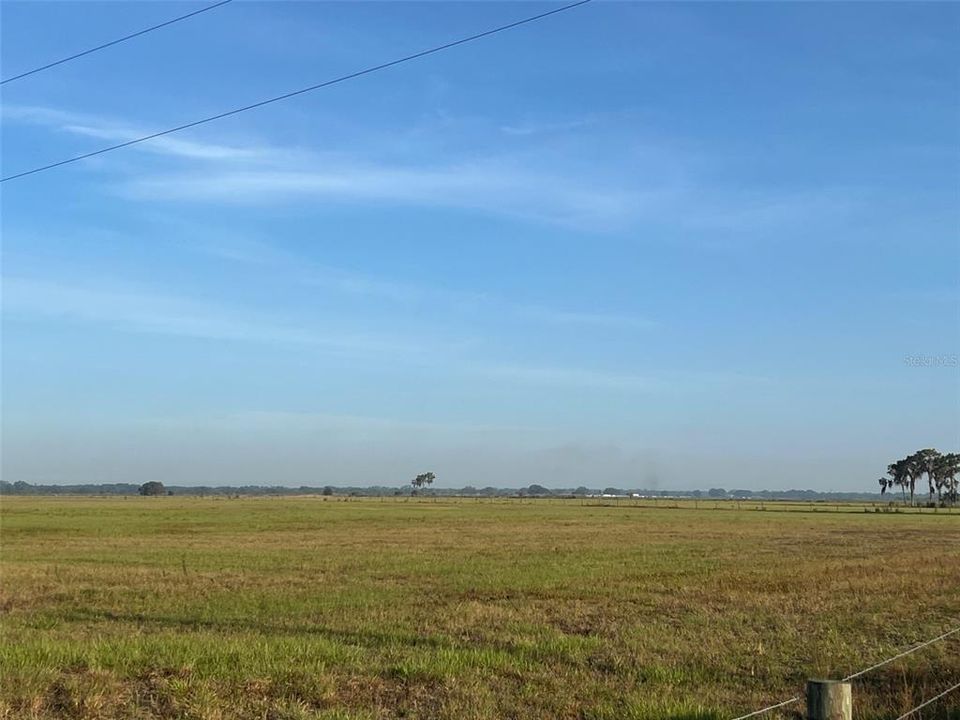 For Sale: $4,350,000 (100.00 acres)